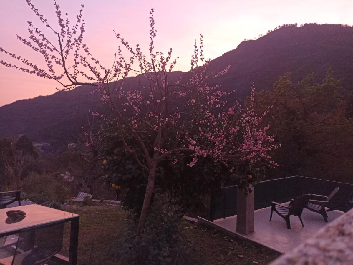 Appartamento Casinhas Da Lu Geres Esterno foto